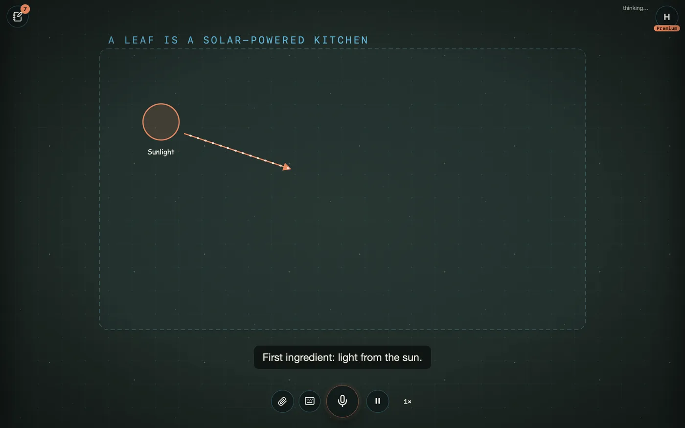 The AI2D Studio starts drawing a plant under the sun to explain photosynthesis